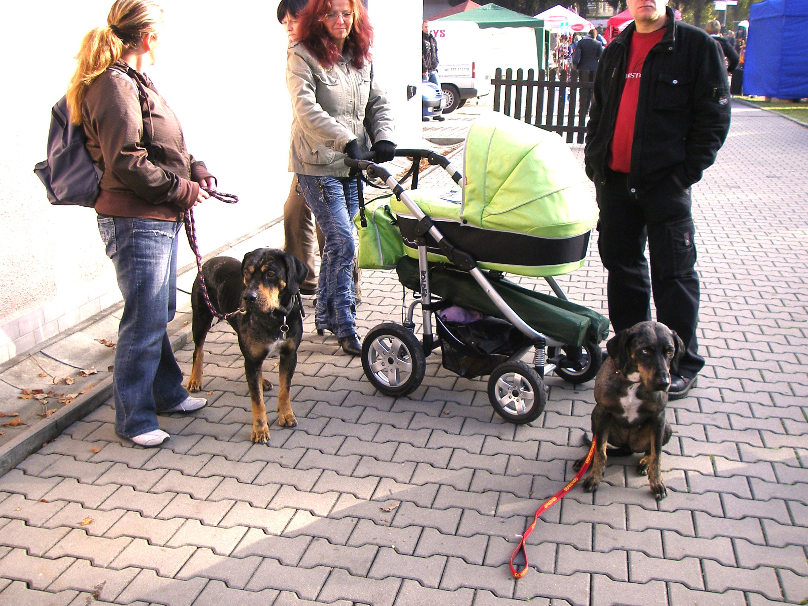 Výstava ČB 006.jpg