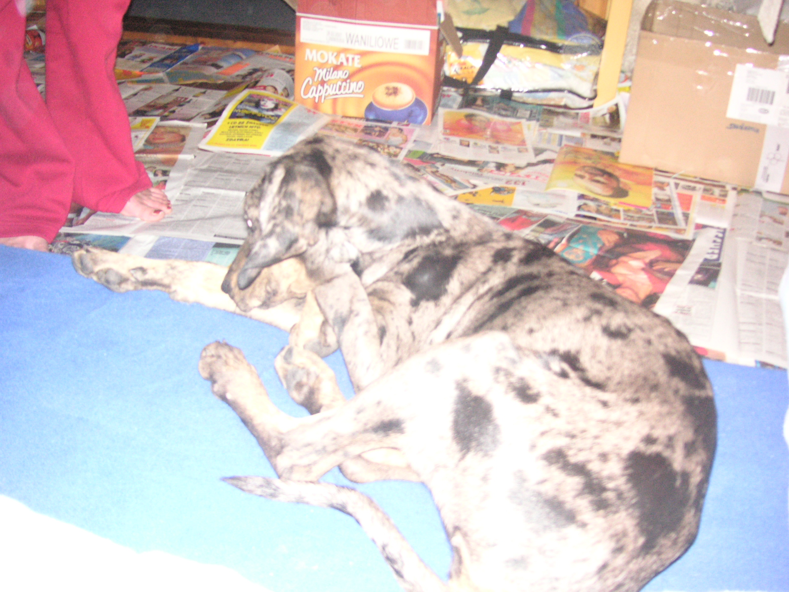 PICT6457.JPG
