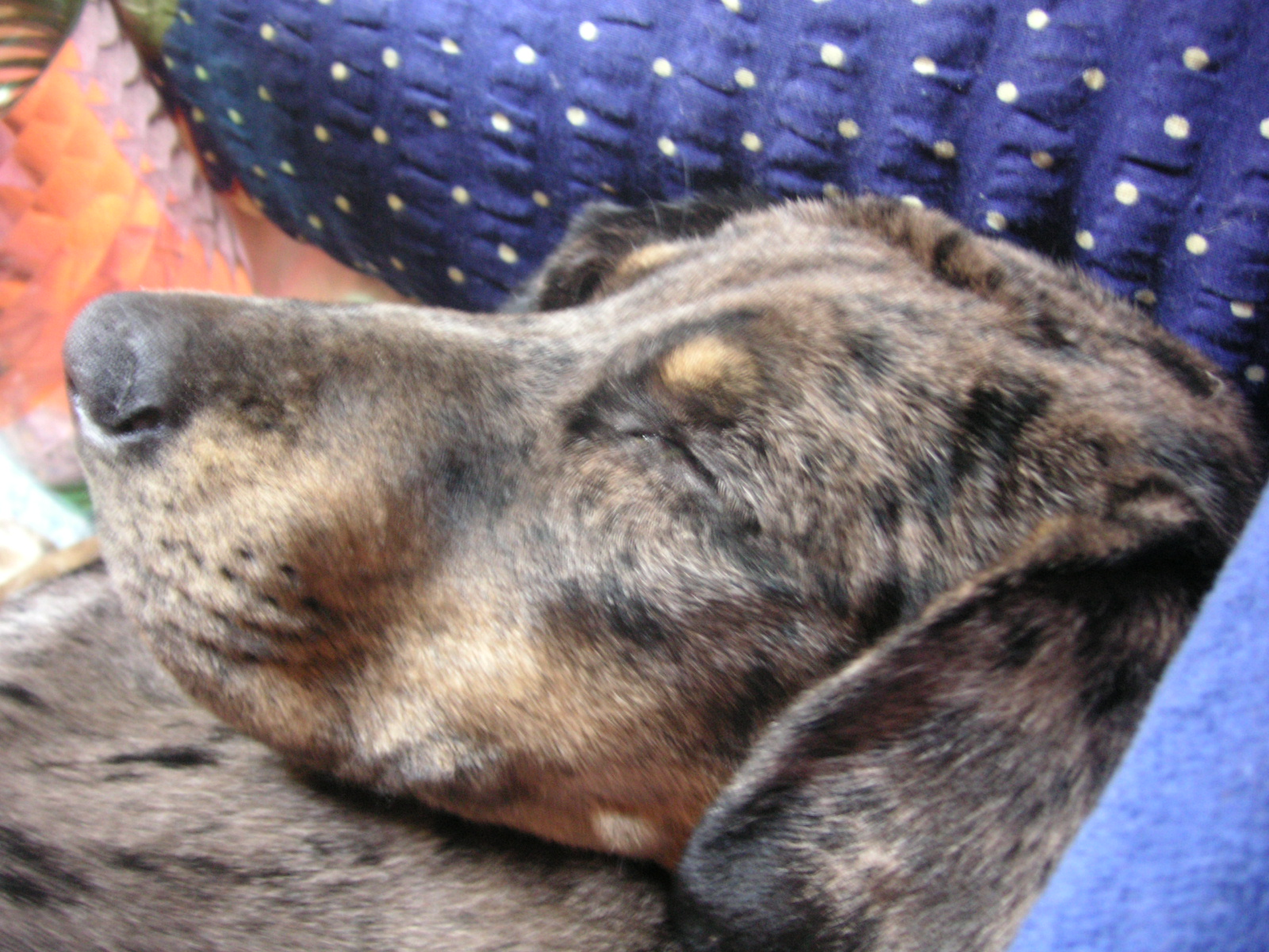 PICT6467.JPG